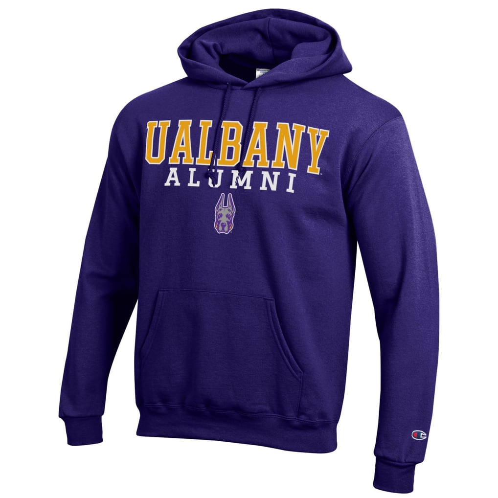  UAlbany Great Danes Champion Alumni Stacked Pullover Hoodie - Purple
