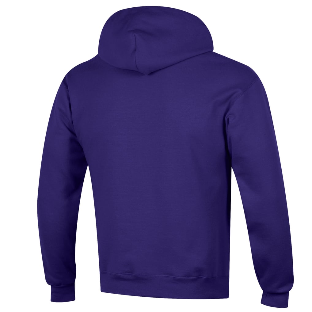  UAlbany Great Danes Champion Alumni Stacked Pullover Hoodie - Purple