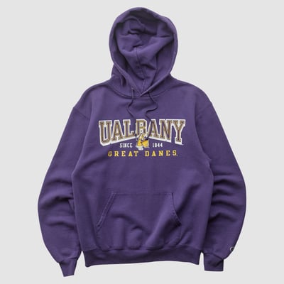UAlbany Great Danes Champion 2000s Hooded Pullover Sweatshirt - Purple - XS by Fanatics Real Vintage