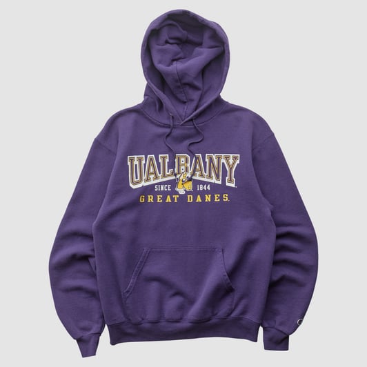 UAlbany Great Danes Champion 2000s Hooded Pullover Sweatshirt - Purple - XS by Fanatics Real Vintage