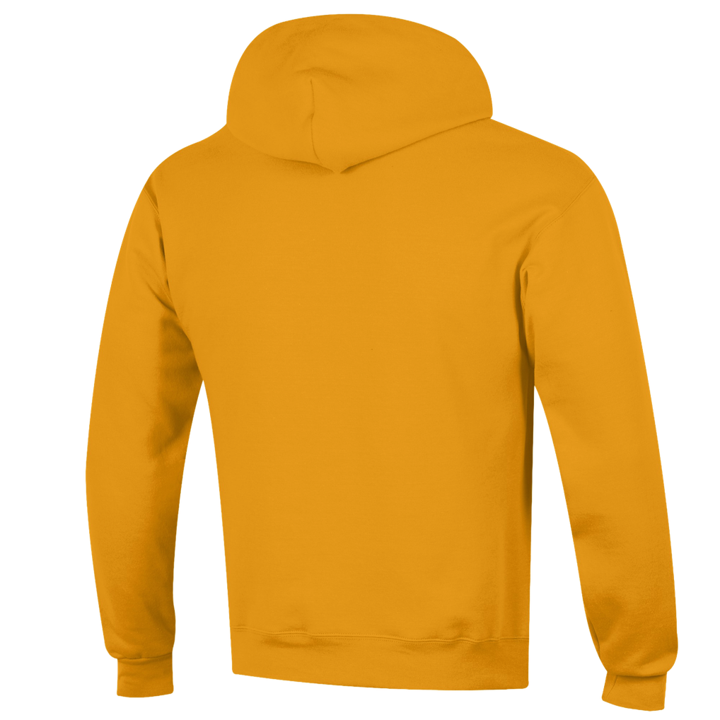 UC San Diego Tritons Champion Eco Powerblend Pullover Hoodie - Gold