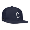 Fitted