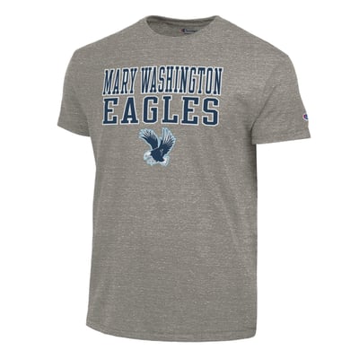 University of Mary Washington Eagles Champion Stacked Ultimate Tri-Blend T-Shirt - Gray