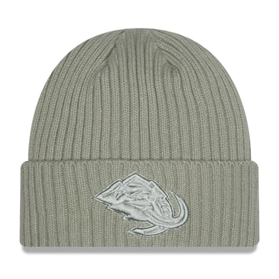 Utah Mammoth New Era Color Pack Cuffed Knit Hat - Sage Green