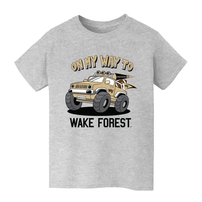 Wake Forest Demon Deacons Vive La Fete Youth On My Way T-Shirt - Gray