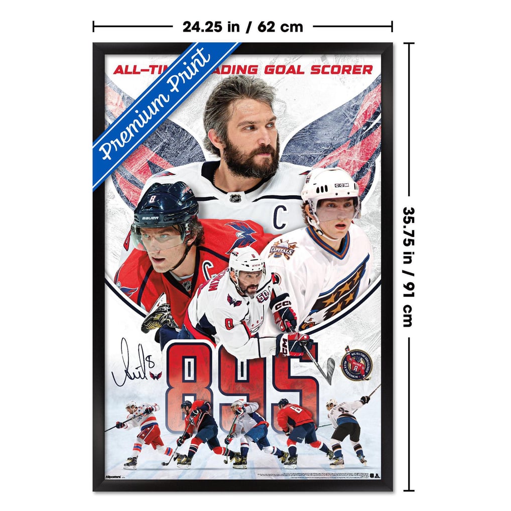 Alexander Ovechkin Washington Capitals 24" x 36" Framed Player Poster