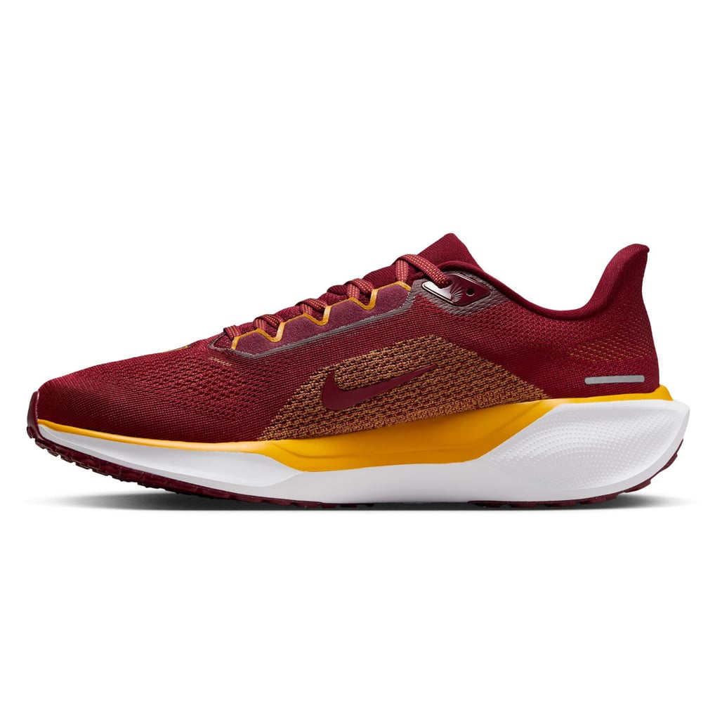 Washington Commanders Nike Unisex Zoom Pegasus 41 Running  display picture 1