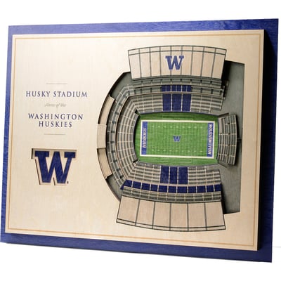 Washington Huskies Fanpoint 17'' x 13'' 5-Layer StadiumView 3D Wall Art