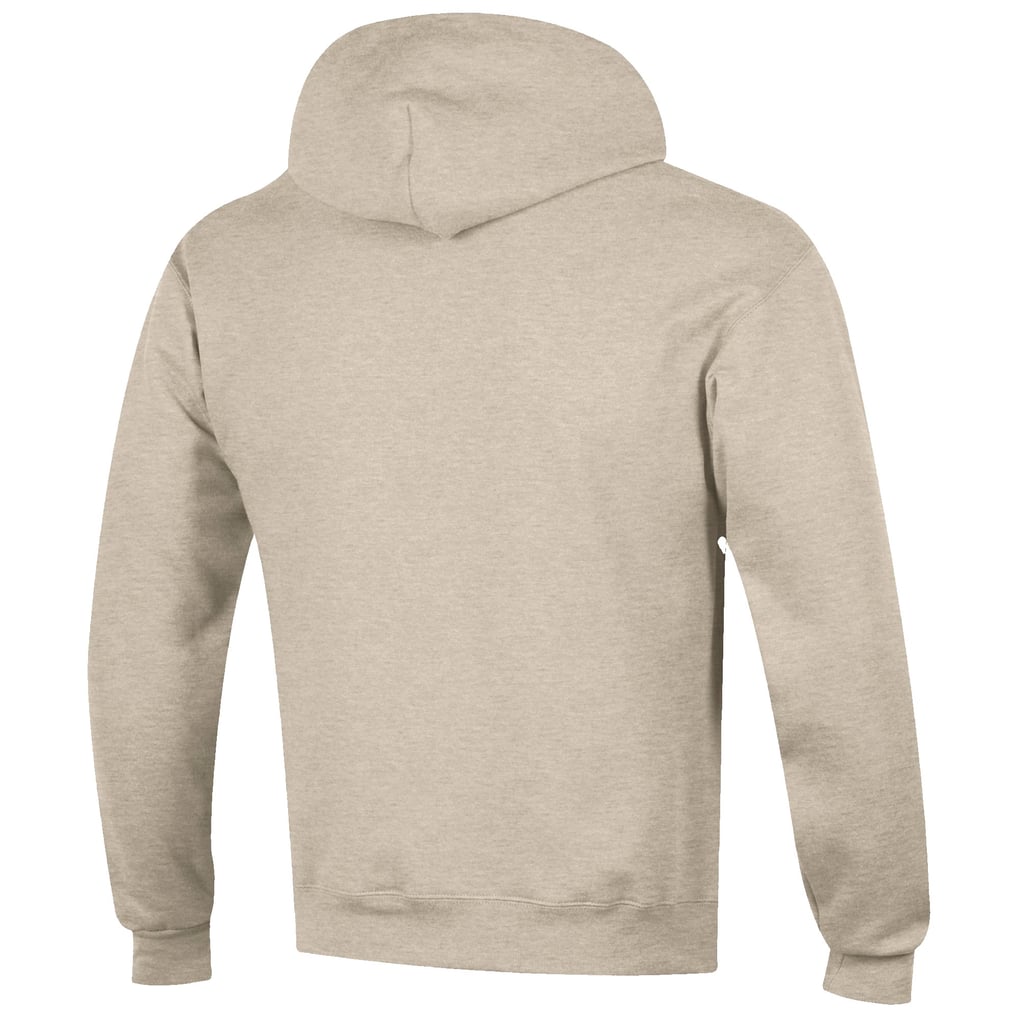 Washington Huskies Champion Big 10 Powerblend Pullover Hoodie - Gold