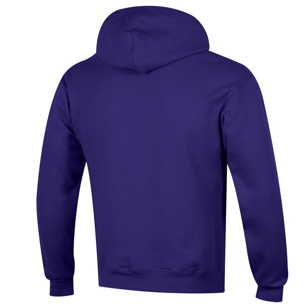  Washington Huskies Champion Basic Arch Fleece Pullover Hoodie - Purple