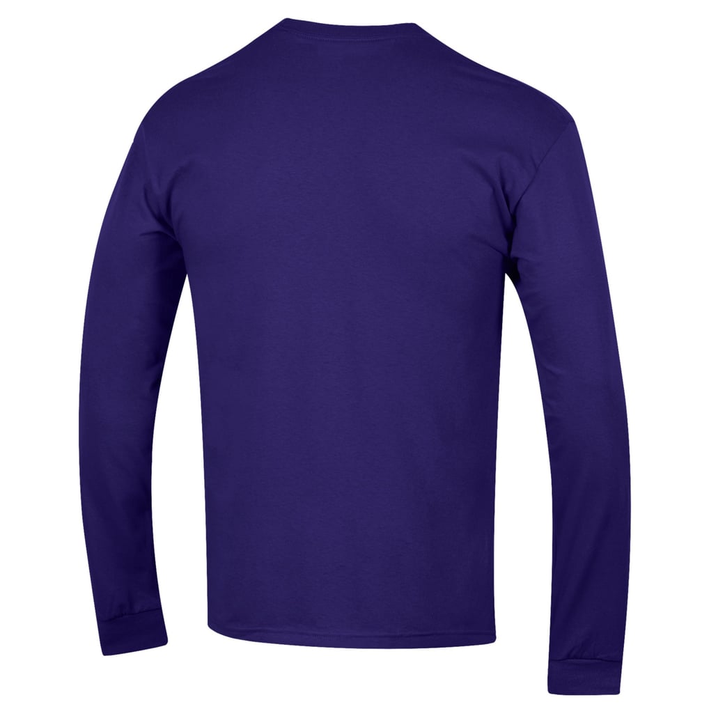 Washington Huskies Champion Softball Stack Long Sleeve T-Shirt - Purple