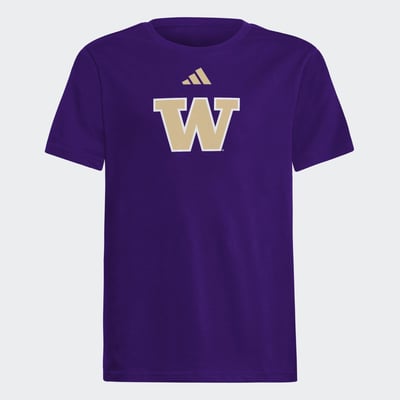  Washington Huskies adidas Youth Fresh T-Shirt - Purple