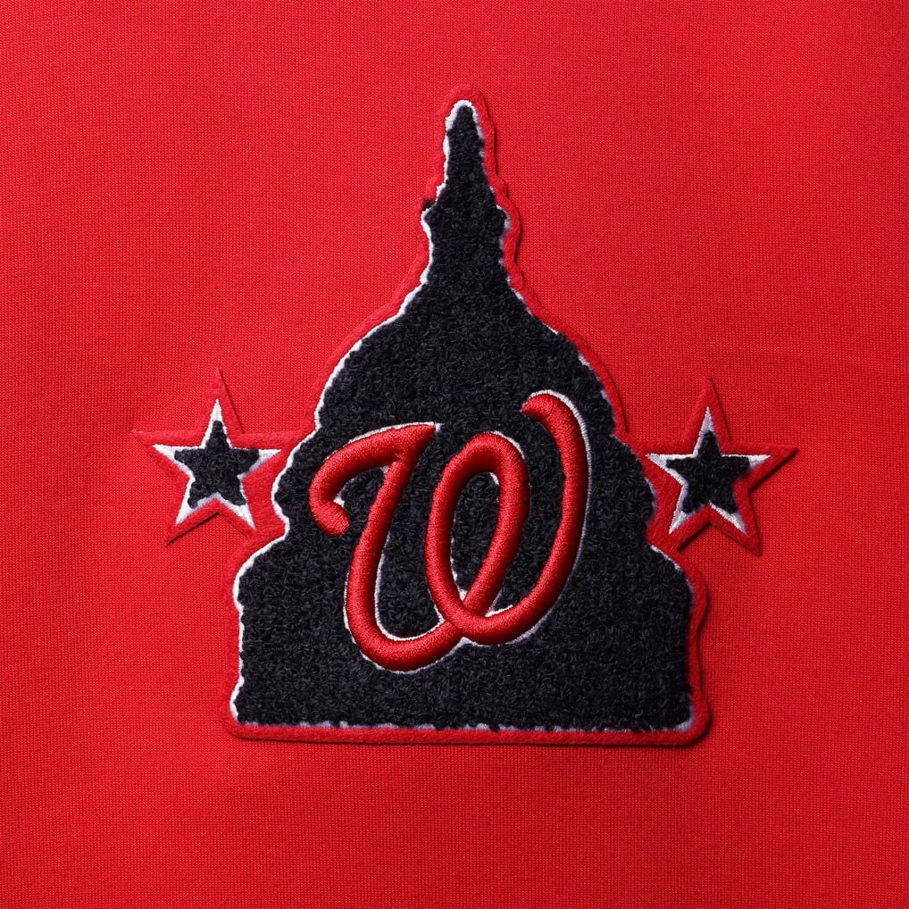 Washington Nationals Pro Standard Logo Pullover Hoodie - Red