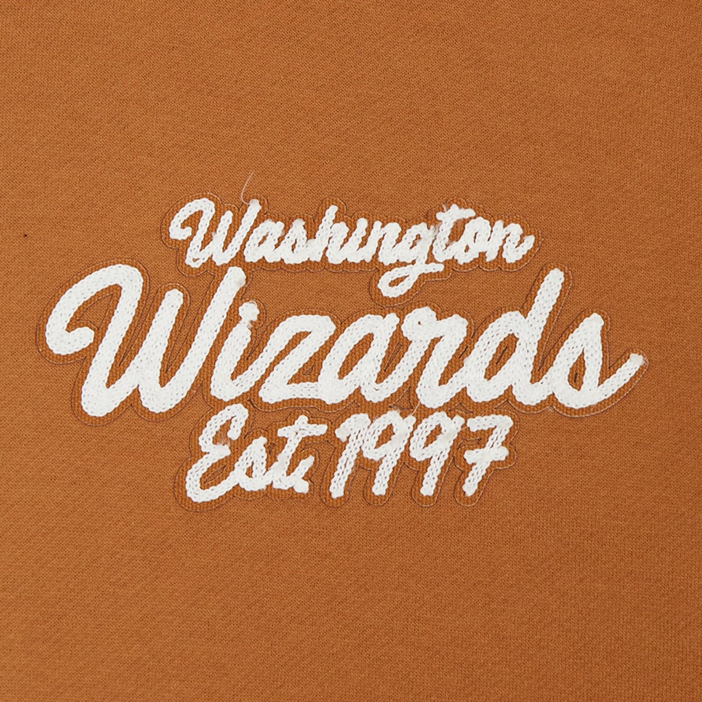 Washington Wizards Pro Standard Paint the City Drop Shoulder Pullover Hoodie - Brown