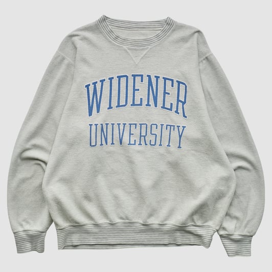 Widener Pride Gear For Sports 90s Pullover Sweatshirt - White - L by Fanatics Real Vintage