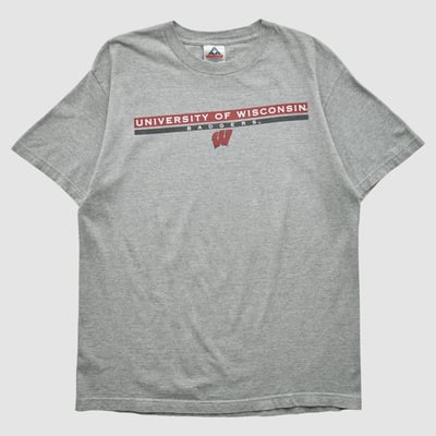 Wisconsin Badgers Alstyle 2000s T-shirt - Heather Gray - L by Fanatics Real Vintage
