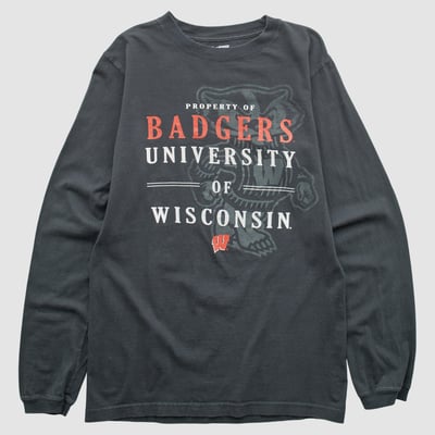 Wisconsin Badgers Pro Edge 2010s Long Sleeve T-shirt - Black - S by Fanatics Real Vintage