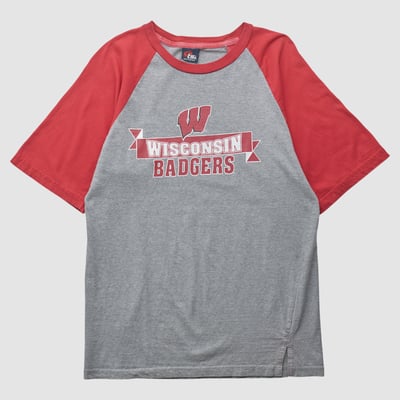 Wisconsin Badgers TSI Sportswear 2000s T-shirt - Gray - S by Fanatics Real Vintage