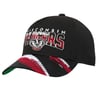 Snapbacks