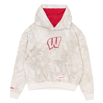  Wisconsin Badgers Mitchell & Ness Youth Ghosted Fleece Hoodie - White