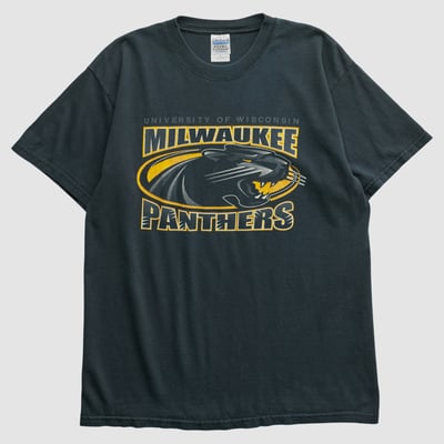 Wisconsin-Milwaukee Panthers Gildan 2000s T-shirt - Black - M by Fanatics Real Vintage