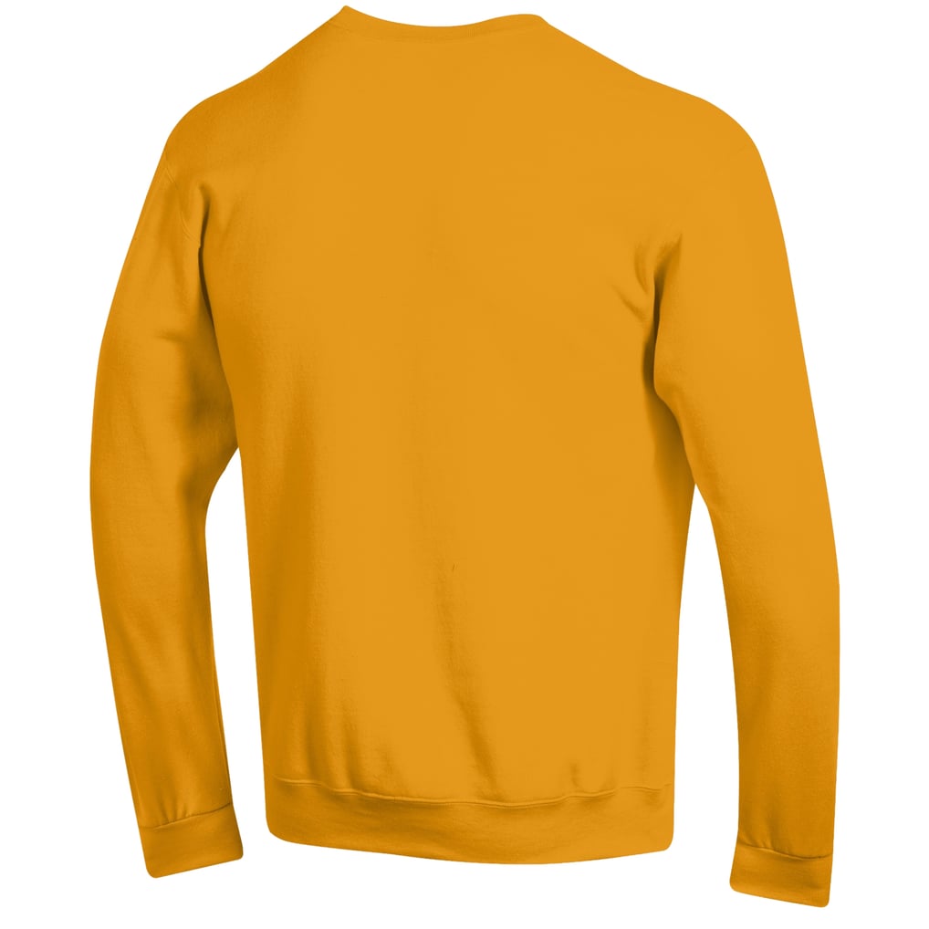 Wisconsin-Stevens Point Pointers Champion Grandparent Arch Logo Eco Powerblend Sweatshirt - Gold