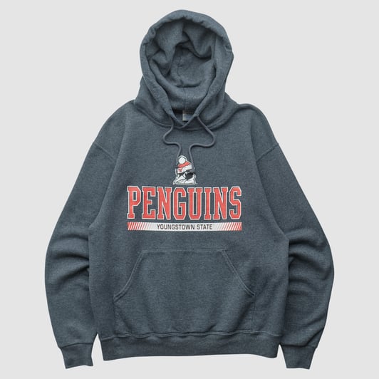 Youngstown State Penguins Jerzees 2010s Hooded Pullover Sweatshirt - Dark Heather Gray - S by Fanatics Real Vintage